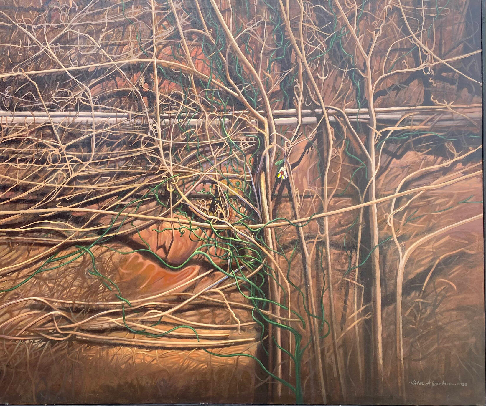 Effects Of The Rain 2025-26